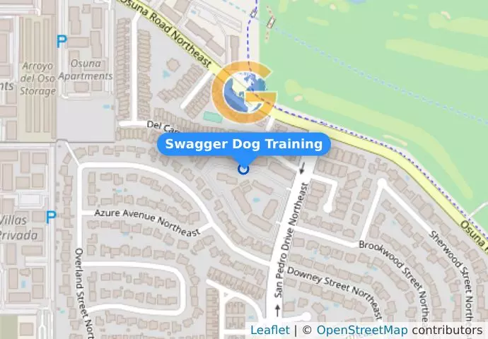 Swagger Dog Training