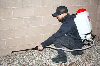 Organic Pest Control NM