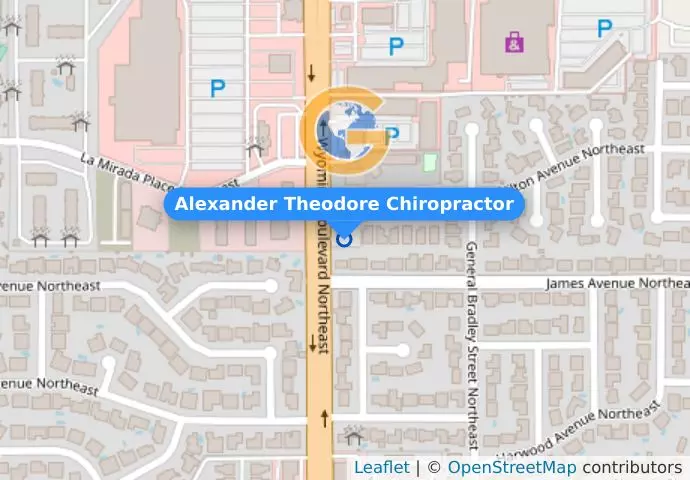 Alexander Theodore Chiropractor