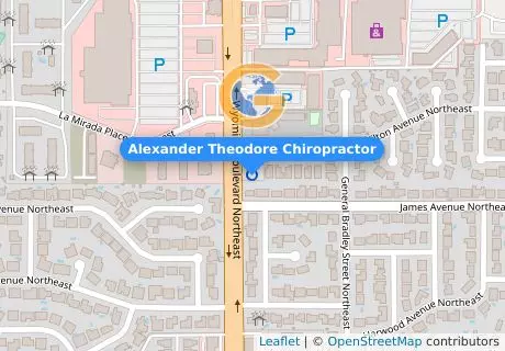 Alexander Theodore Chiropractor