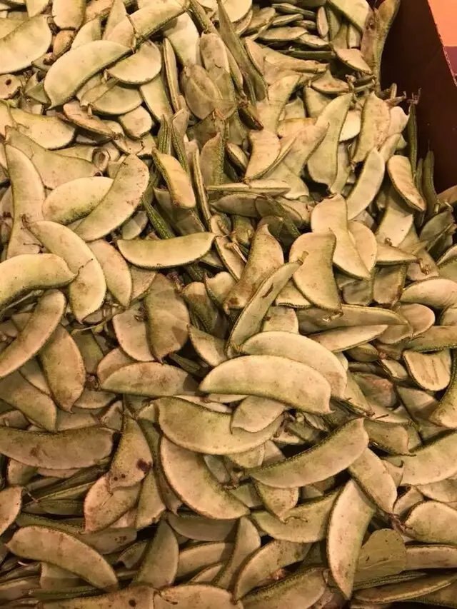 Indian Food & Grocery