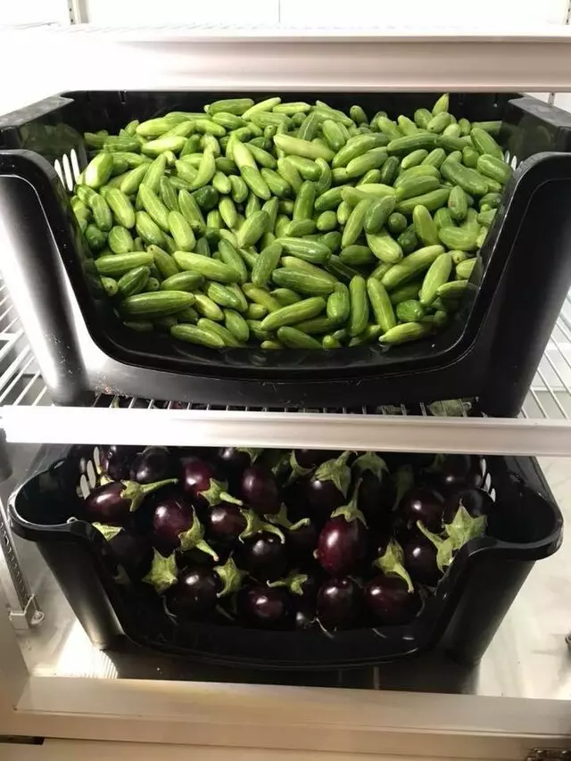 Indian Food & Grocery