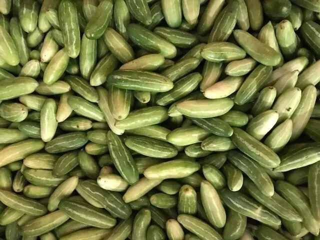 Indian Food & Grocery