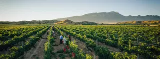 Albuquerque Wine Festival