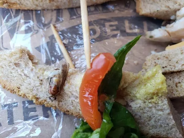 McAlister’s Deli