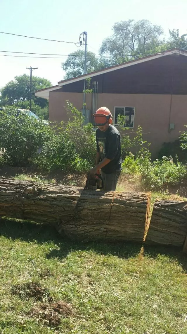 Antonio’ s Tree Service