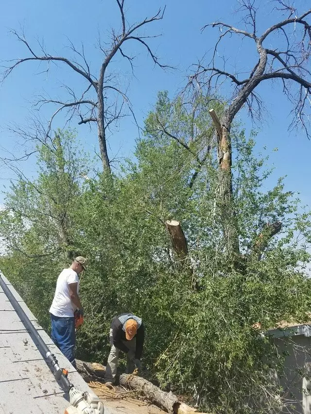 Antonio’ s Tree Service