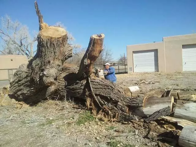 Antonio’ s Tree Service
