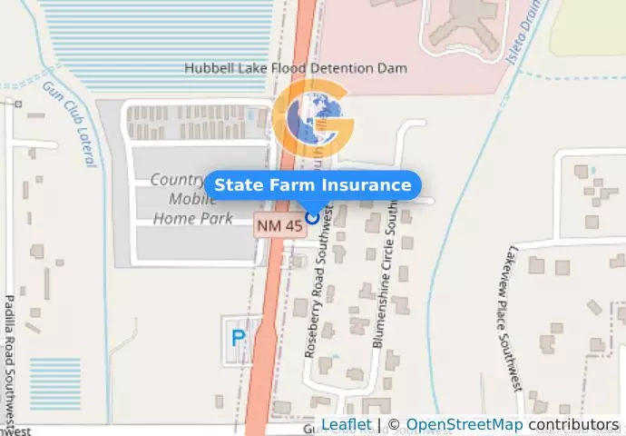 State Farm Insurance