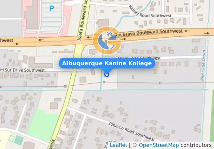 Albuquerque Kanine Kollege