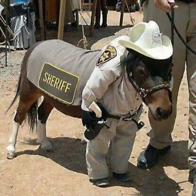 Albuquerque Police Department