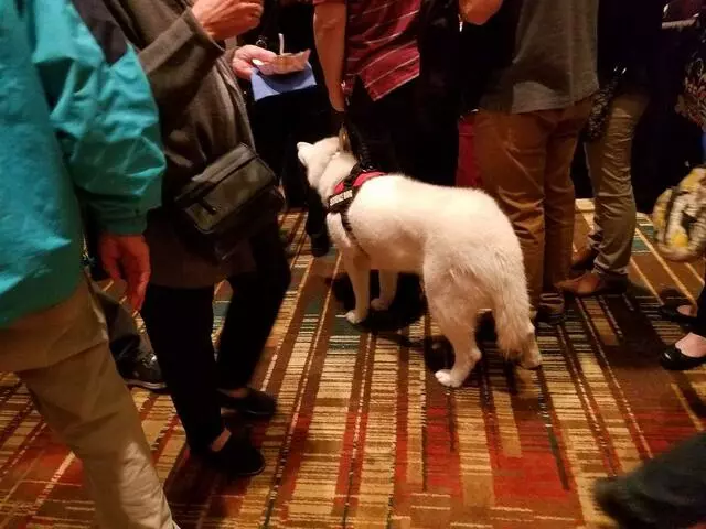 ABQ NoshFest
