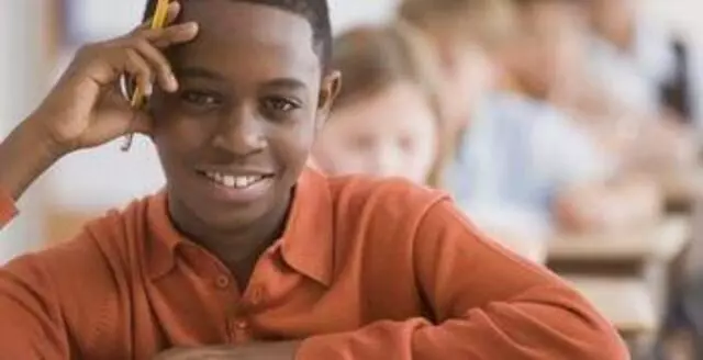 Educational Consultant