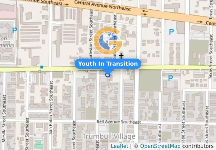Youth In Transition