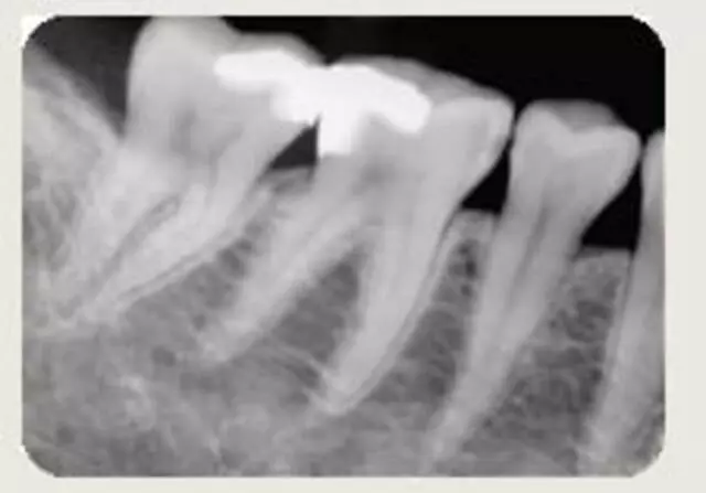 ABQ Dental Associates