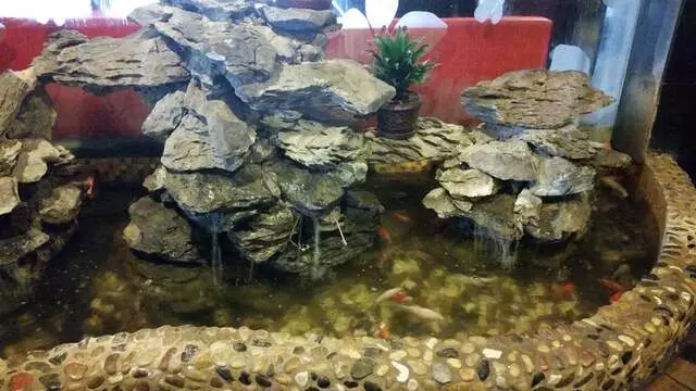 Hayashi Japanese Steakhouse