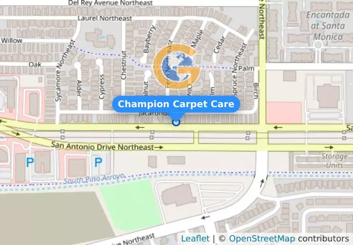 Champion Carpet Care