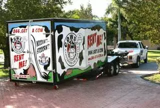 COWs of Albuquerque