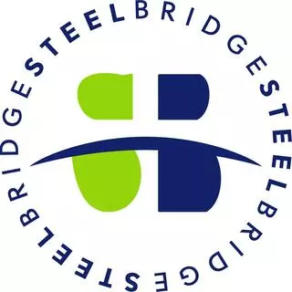 Steelbridge Resources