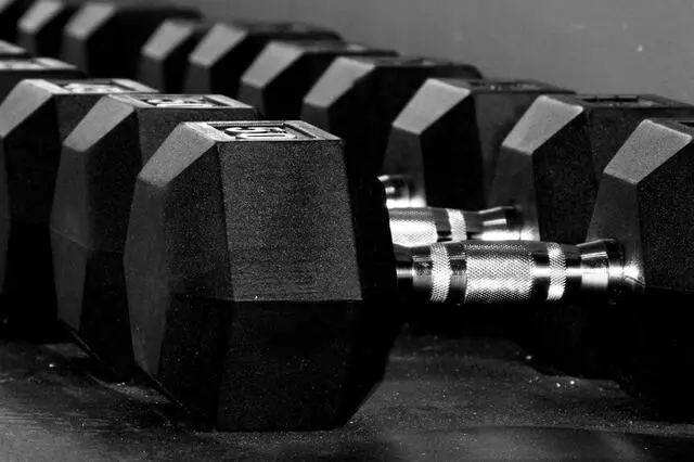 Revive Fit
