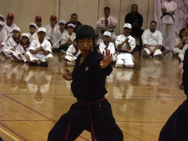 Akka Karate USA