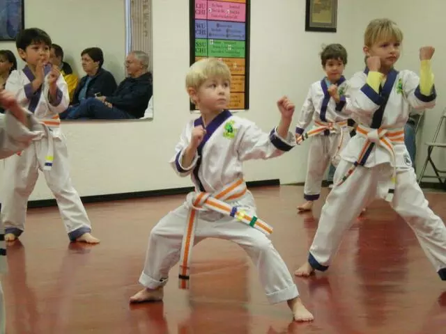 Akka Karate USA