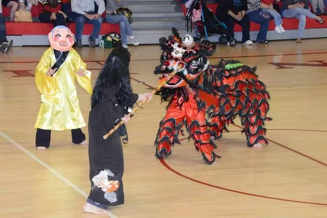 Akka Karate USA