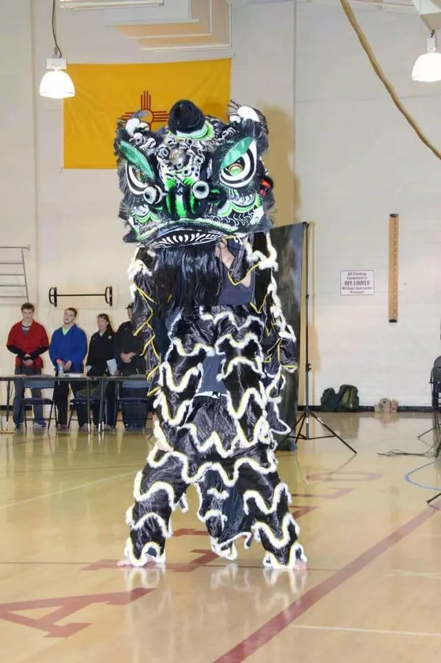 Akka Karate USA