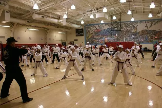Akka Karate USA