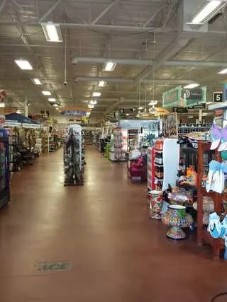 ACE Hardware Store