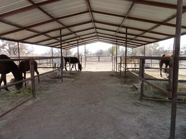 Camino Real Farm