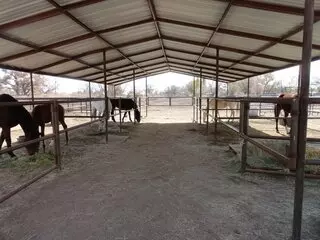 Camino Real Farm
