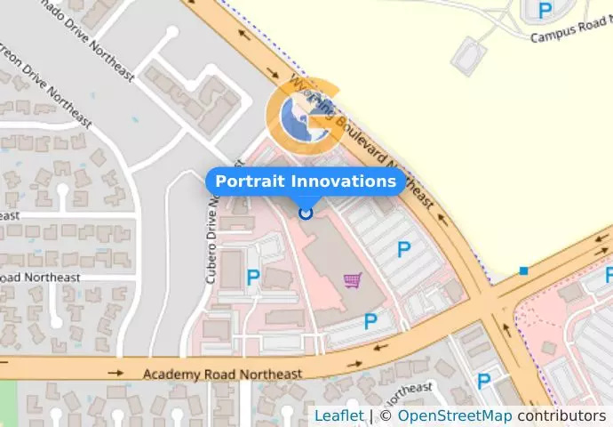 Portrait Innovations