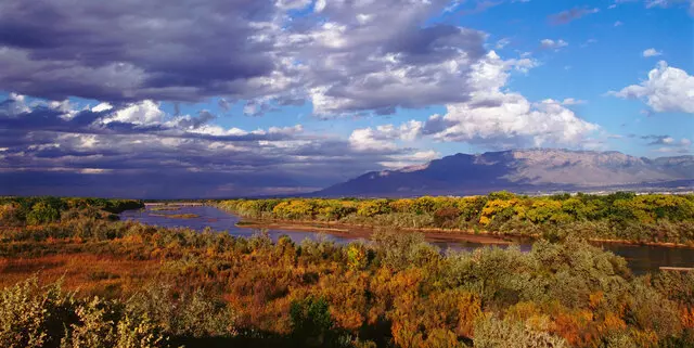 Dermatology of New Mexico