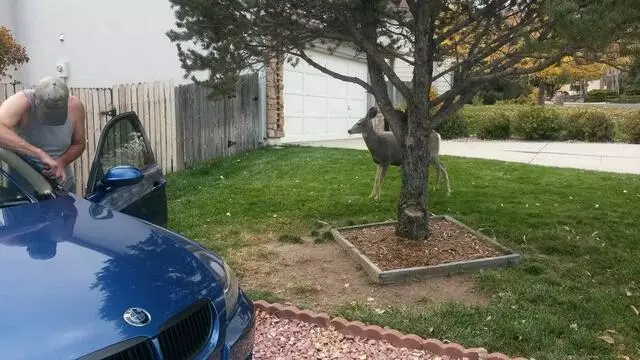 A Broken Windshield