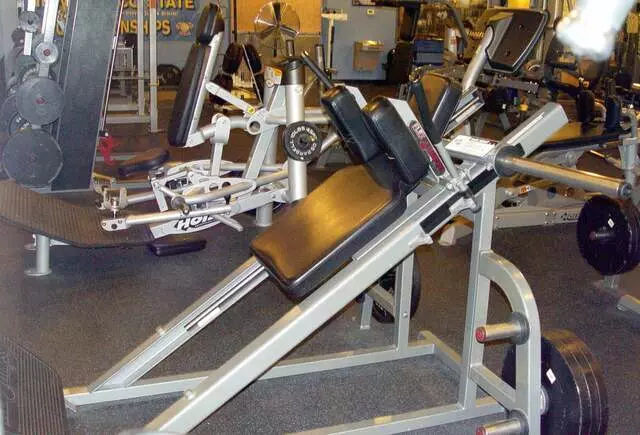 Designer Bodies &apos;World Class Gym&apos;