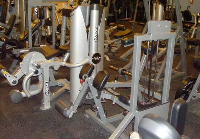 Designer Bodies &apos;World Class Gym&apos;