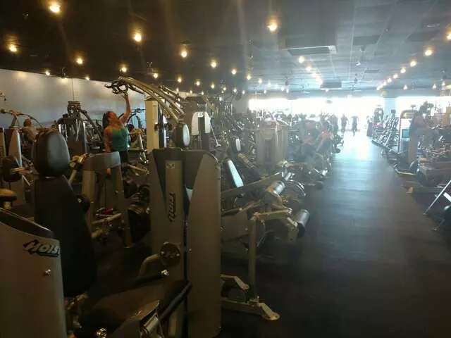 Designer Bodies &apos;World Class Gym&apos;