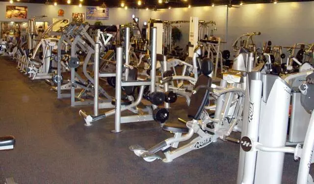Designer Bodies &apos;World Class Gym&apos;