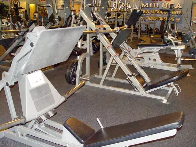 Designer Bodies &apos;World Class Gym&apos;