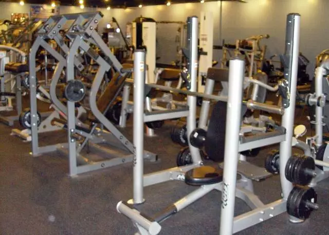 Designer Bodies &apos;World Class Gym&apos;