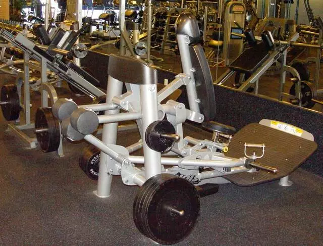 Designer Bodies &apos;World Class Gym&apos;