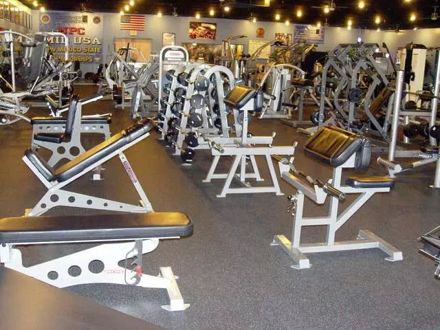 Designer Bodies &apos;World Class Gym&apos;