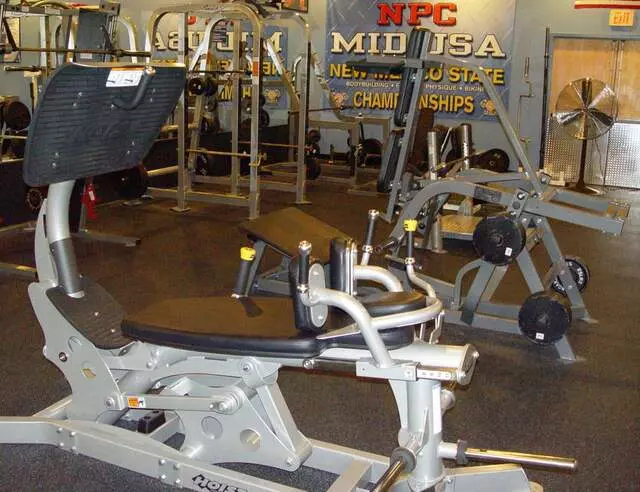 Designer Bodies &apos;World Class Gym&apos;