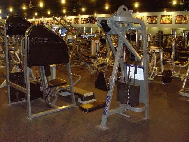 Designer Bodies &apos;World Class Gym&apos;