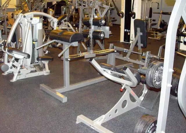 Designer Bodies &apos;World Class Gym&apos;