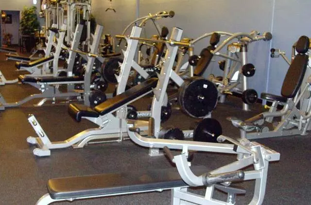 Designer Bodies &apos;World Class Gym&apos;