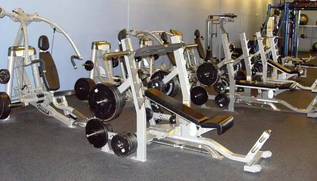 Designer Bodies &apos;World Class Gym&apos;