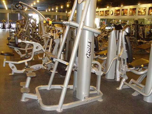 Designer Bodies &apos;World Class Gym&apos;