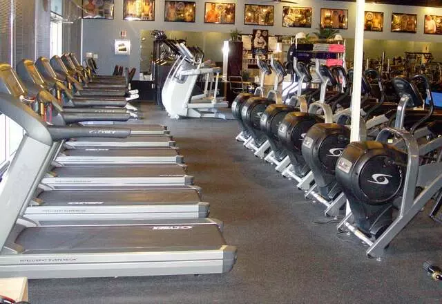 Designer Bodies &apos;World Class Gym&apos;